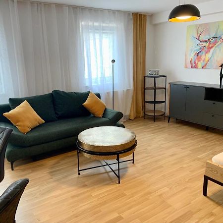 Air-Conditioned, Quiet Apartment With A Terrace In Center Of St Poelten - Smart Tv Санкт-Пельтен Екстер'єр фото