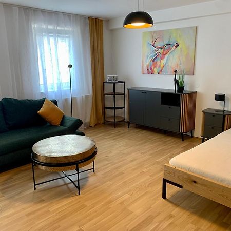 Air-Conditioned, Quiet Apartment With A Terrace In Center Of St Poelten - Smart Tv Санкт-Пельтен Екстер'єр фото