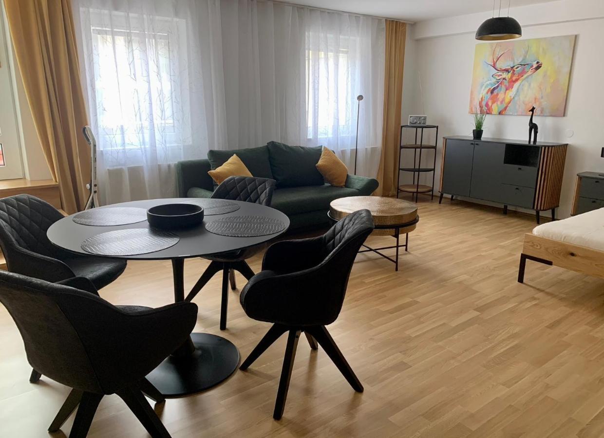 Air-Conditioned, Quiet Apartment With A Terrace In Center Of St Poelten - Smart Tv Санкт-Пельтен Екстер'єр фото