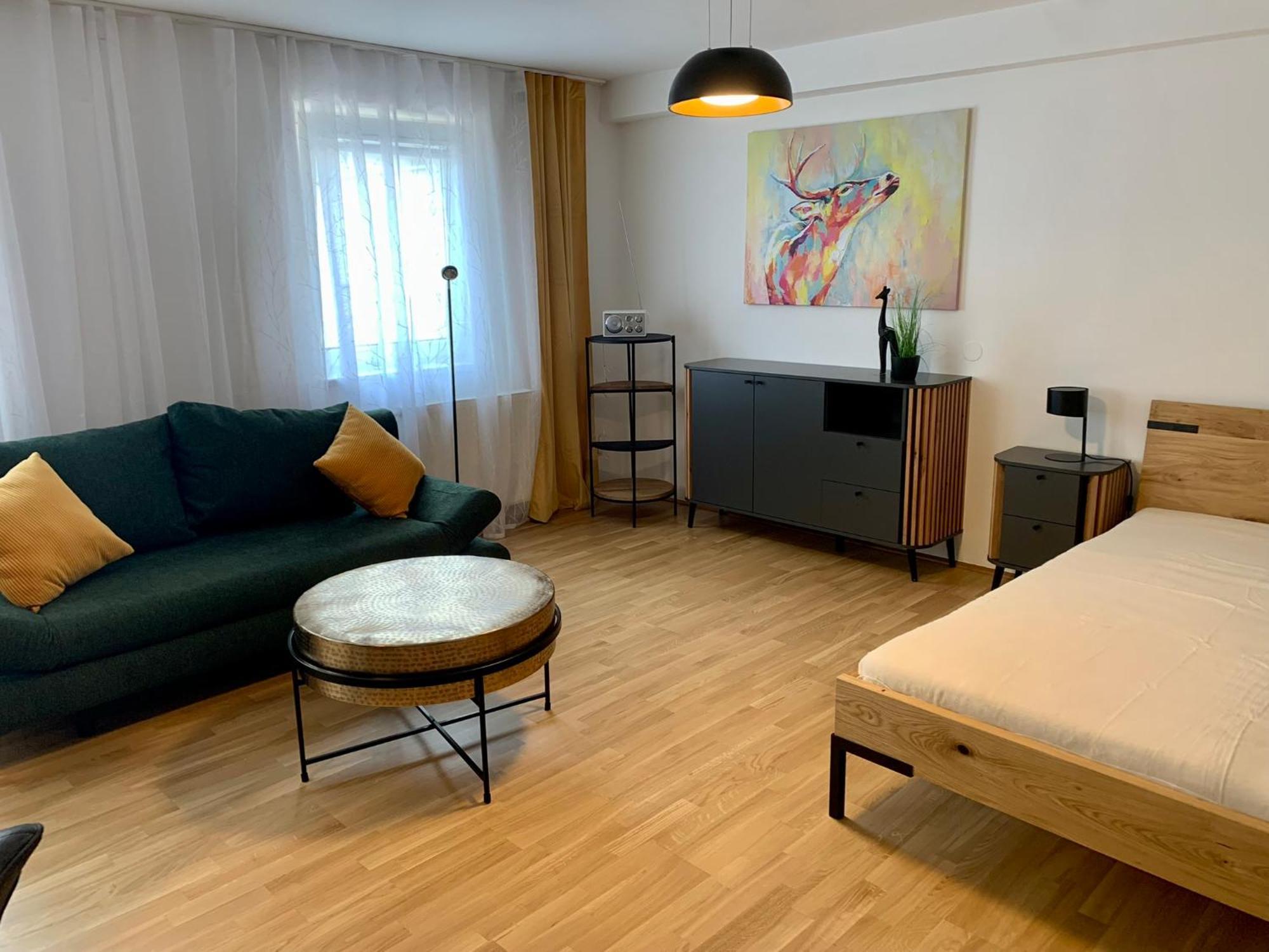Air-Conditioned, Quiet Apartment With A Terrace In Center Of St Poelten - Smart Tv Санкт-Пельтен Екстер'єр фото